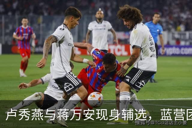 卢秀燕与蒋万安现身辅选，蓝营团结应对挑战
